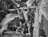 Johnny Weissmuller Hanging on a Log with a Guy in a Classic Movie Scene Photo Print - Item # VARCEL709363