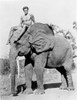 Johnny Weissmuller Riding an Elephant Photo Print - Item # VARCEL709459