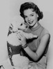 Natalie Wood Holding a Dog in Sleeve Less Dress Photo Print - Item # VARCEL709995