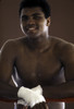 Muhammad Ali training Photo Print - Item # VARGLP347379