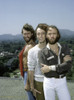 the Bee Gees Photo Print