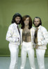 the Bee Gees Photo Print - Item # VARGLP348626