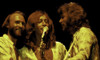 the Bee Gees on stage Photo Print - Item # VARGLP348703