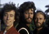 the Bee Gees Photo Print - Item # VARGLP358070