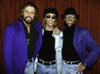 the Bee Gees Photo Print (10 x 8)