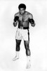 A Muhammad Ali wearing boxing gloves Photo Print - Item # VARGLP371327