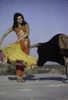 Raquel Welch bull fighting Photo Print - Item # VARGLP379386