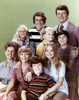 The Brady Bunch on Green Photo Print - Item # VARGLP385441