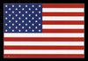 U.S. Flag Poster Print
