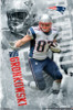 New England Patriots - R Gronkowski 14 Poster Print