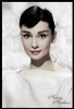 Audrey Hepburn - White Portrait Poster Print