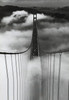 Misty Morning Golden Gate Bridge Poster Poster Print