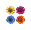 Pop Flowers - Andy Warhol Poster Print