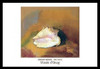 Shell Poster Print by Odilon Redon