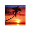 Sunset - Palm Tree Poster Print