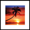 Sunset - Palm Tree Poster Print
