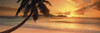 Palm Tree Sunset Poster Print