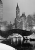 Central Park Poster - Stunning Urban Landscape Art