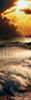 Surf Poster Print