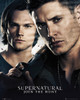 Supernatural Brothers Poster Print