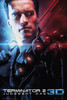 Terminator 2 3D One Sheet Poster Print