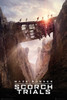 Maze Runner 2 Bridge Poster Print