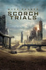 Maze Runner 2 One Sheet Poster Print