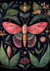 Botanical Moth 5 Poster Print - Dutch Lady The