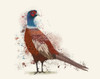 Pheasant Splash 5 Poster Print - Funky Fab