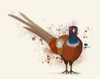 Pheasant Splash 7 Poster Print - Funky Fab