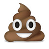 Emoji Poo Poster Print - Ali Lynne
