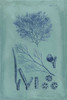 Indigo and Azure Seaweed VI Poster Print - Studio Vision
