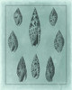 Spa Shell Collection IV Poster Print - Studio Vision