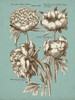 Chambray Chintz II Poster Print - Studio Vision
