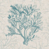 Coral Motif I Poster Print - Studio Vision