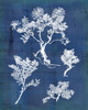 Natures Imprint II Poster Print - Studio Vision