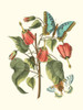 Midsummer Floral I Poster Print - Studio Vision