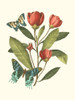 Midsummer Floral II Poster Print - Studio Vision