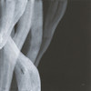 Soft White II Poster Print - Chris Paschke