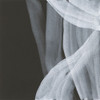 Soft White III Poster Print - Chris Paschke