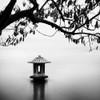 Zen Lake Poster Print - Studio Praxis (12 x 12)