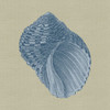 Chambray Shells III Poster Print - Studio Vision