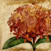 Vibrant Floral III Poster Print - Studio Vision