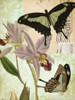 Natures Tapestry III Poster Print - Studio Vision