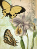 Natures Tapestry I Poster Print - Studio Vision