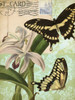 Natures Tapestry II Poster Print - Studio Vision