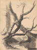 Tree Trunks  Poster Print by Thomas Cole