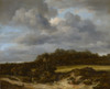 Cornfield  Poster Print by Jacob van Ruisdael