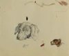 Hundestudie Poster Print by Johann Peter Krafft