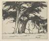 Companions  Poster Print by Ernest Haskell